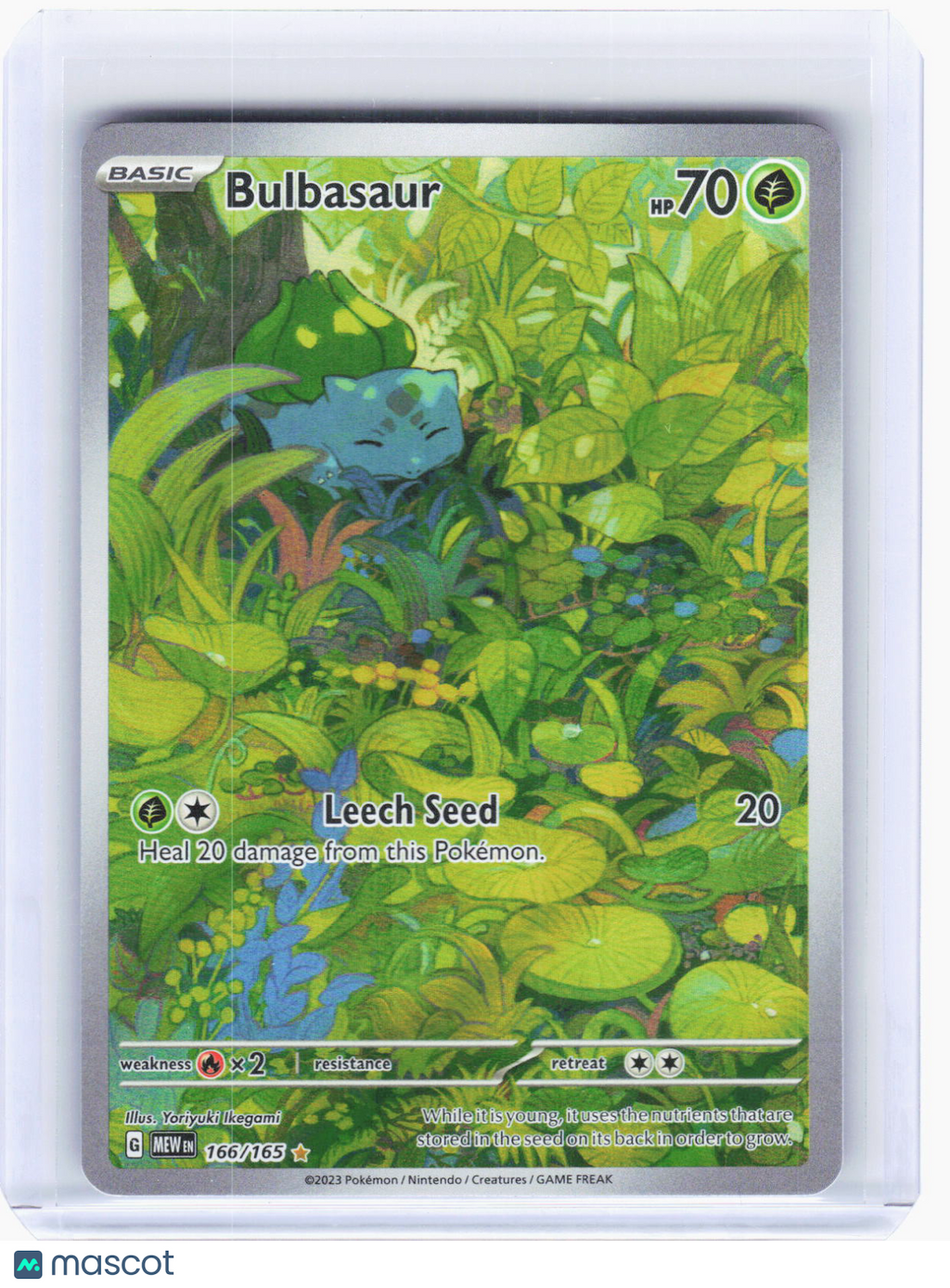 2023 Pokemon—Bulbasaur #166/165 Scarlet & Violet 151—Illustration Rare Foil
