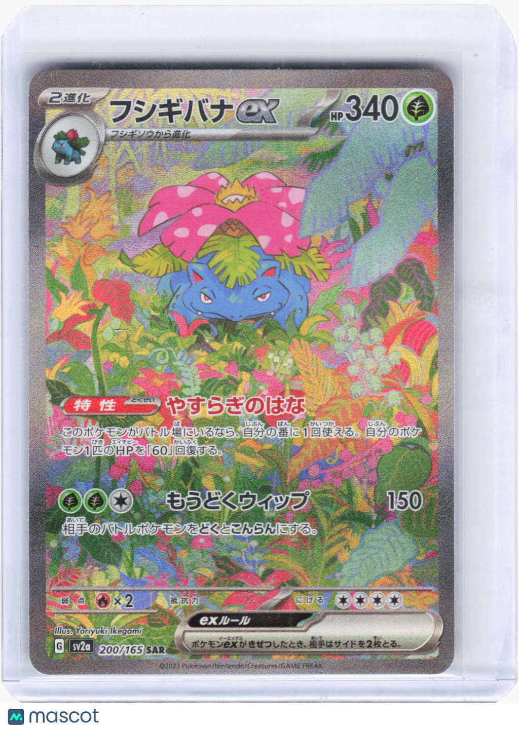 2023 Pokemon —Venusaur EX #200 Sv2a: Pokemon Card 151—Special Art Rare Holo JPN
