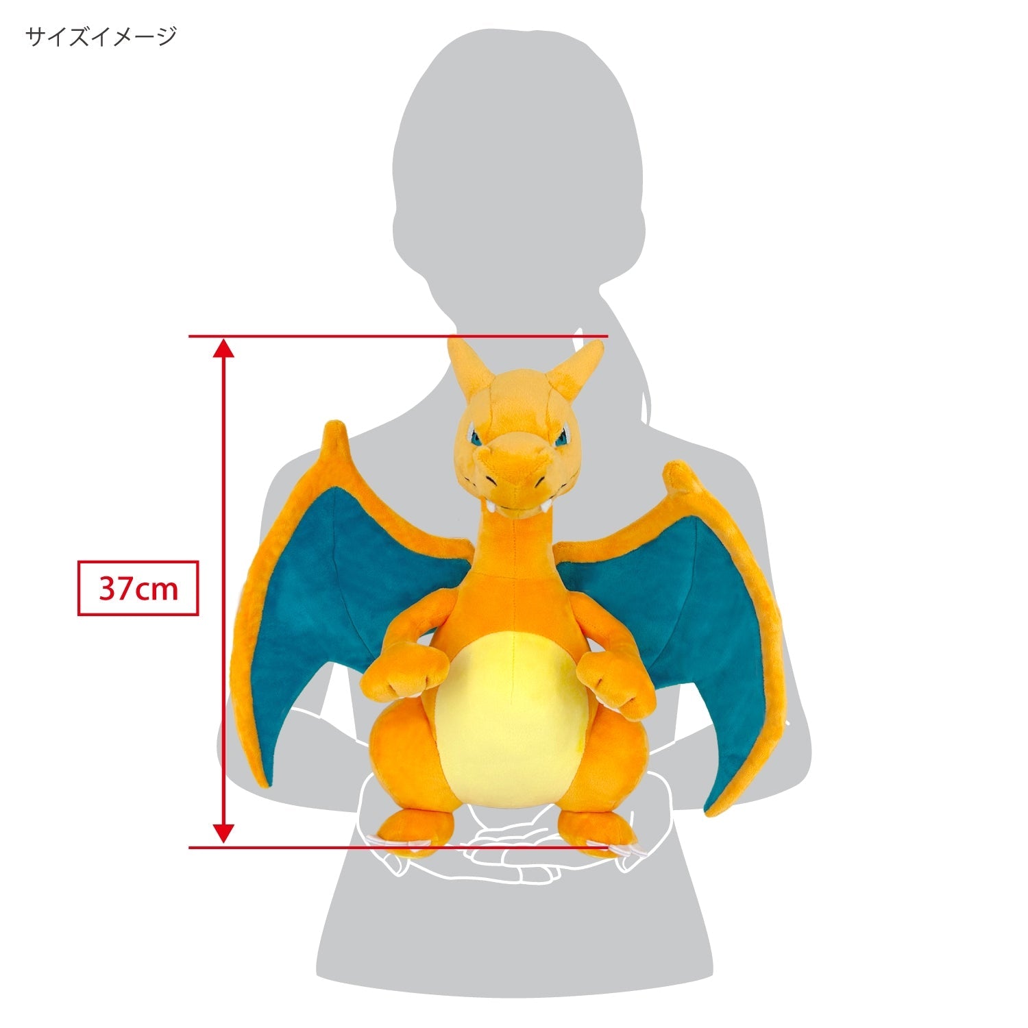 Charizard M (Pocket Monsters)