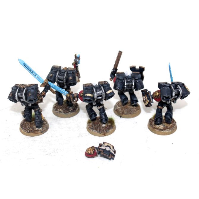 Warhammer Space Marine Vanguard Veterans Well Painted JYS36