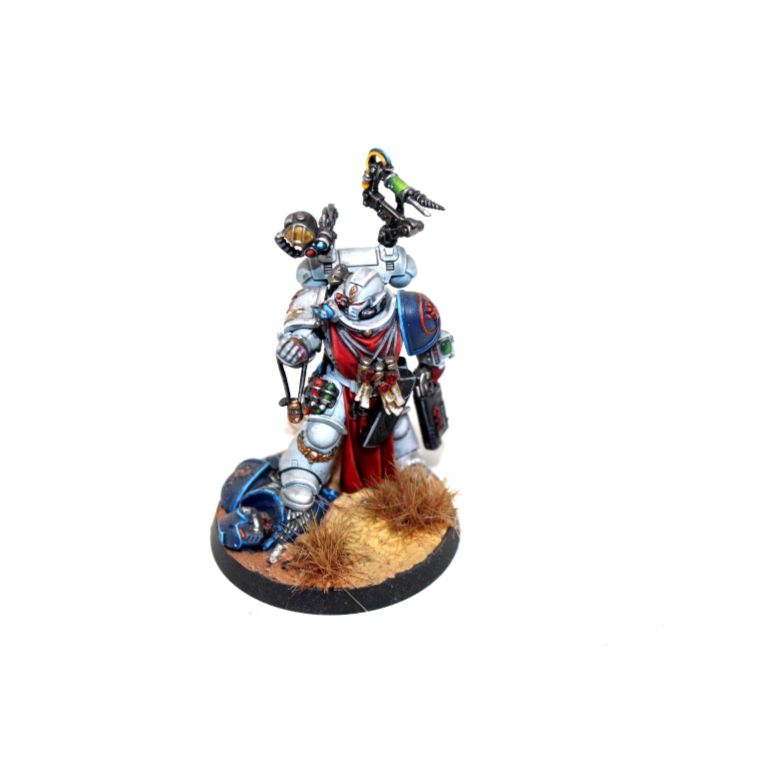 Warhammer Space Marines Apothacary Well Painted JYS71