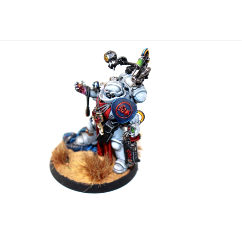 Warhammer Space Marines Apothacary Well Painted JYS71