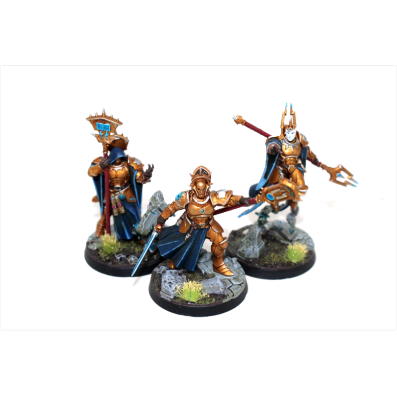 Warhammer Stormcast Eternals Stormsire's Cursebreakers Well Painted JYS73