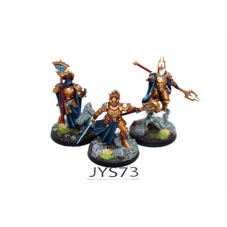 Warhammer Stormcast Eternals Stormsire's Cursebreakers Well Painted JYS73