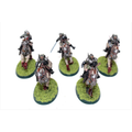 Warhammer Imperial Guard Death Korp Riders Well Painted JYS64