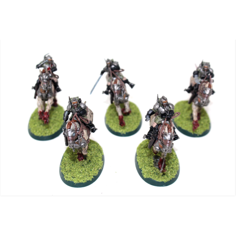 Warhammer Imperial Guard Death Korp Riders Well Painted JYS64