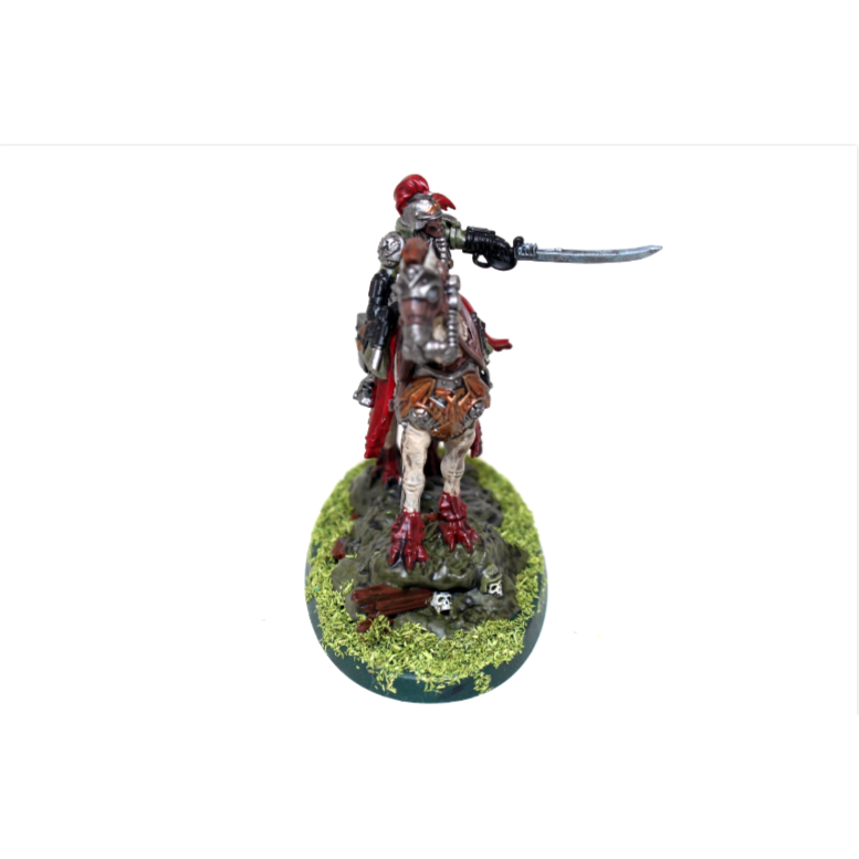 Warhammer Imperial Guard Death Korp Marshall Dreider Well Painted JYS64