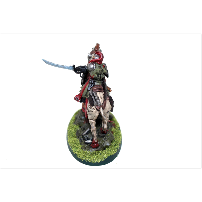 Warhammer Imperial Guard Death Korp Marshall Dreider Well Painted JYS64