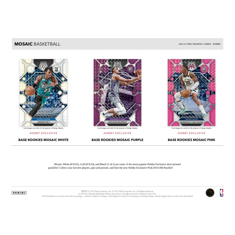 2022/23 Panini Mosaic Basketball Hobby 12er Boxen Case
