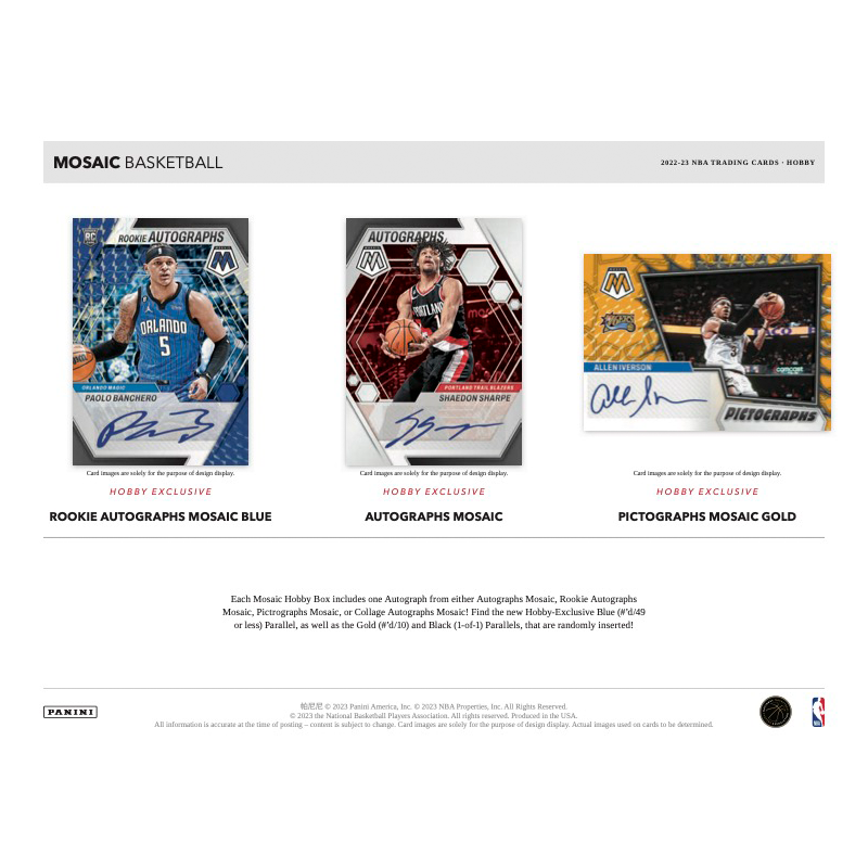 2022/23 Panini Mosaic Basketball Hobby 12er Boxen Case