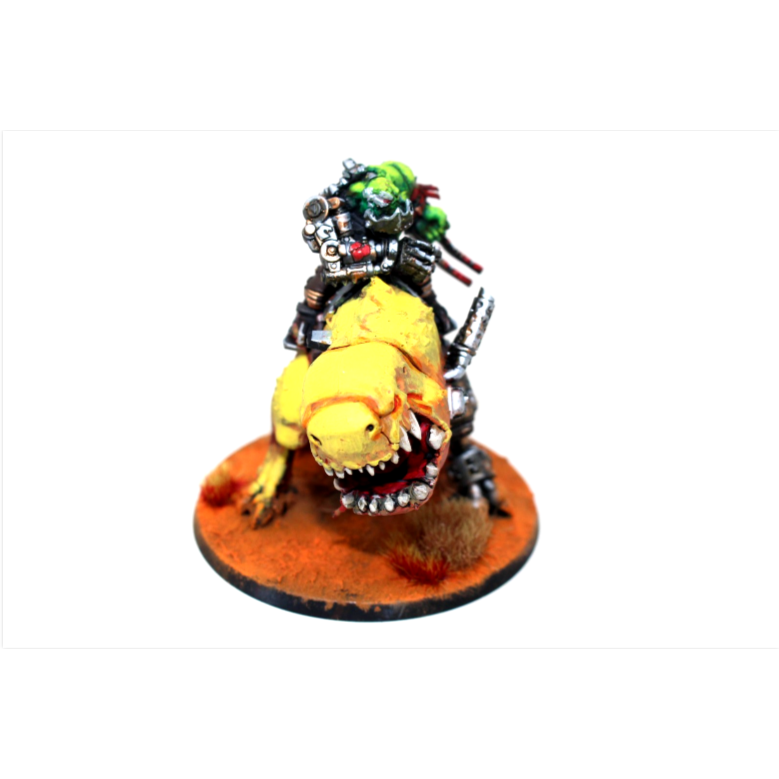 Warhammer Orks Mozrog Skragbad Well Painted A20