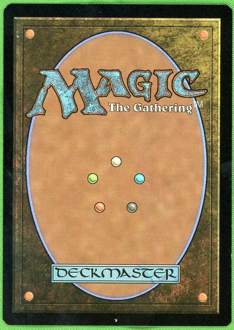 2024 Wizards of the Coast Magic: The Gathering 215 VG