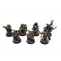 Warhamemr Chaos Space Marines Deathguard Plague Marines Well Painted JYS22