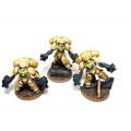 Warhammer Space Marine Primaris Inceptors Well Painted JYS31