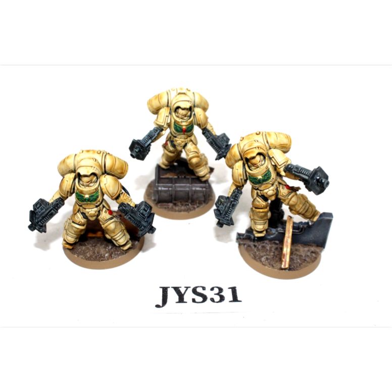 Warhammer Space Marine Primaris Inceptors Well Painted JYS31