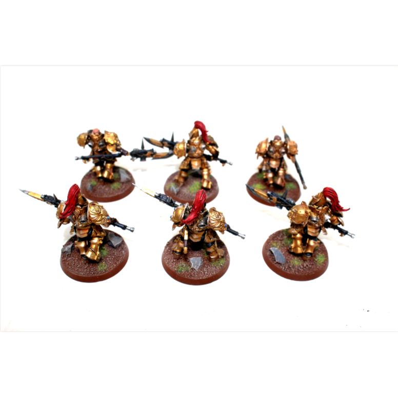 Warhammer Adeptus Custodes Custodian Guard Well Painted JYS31