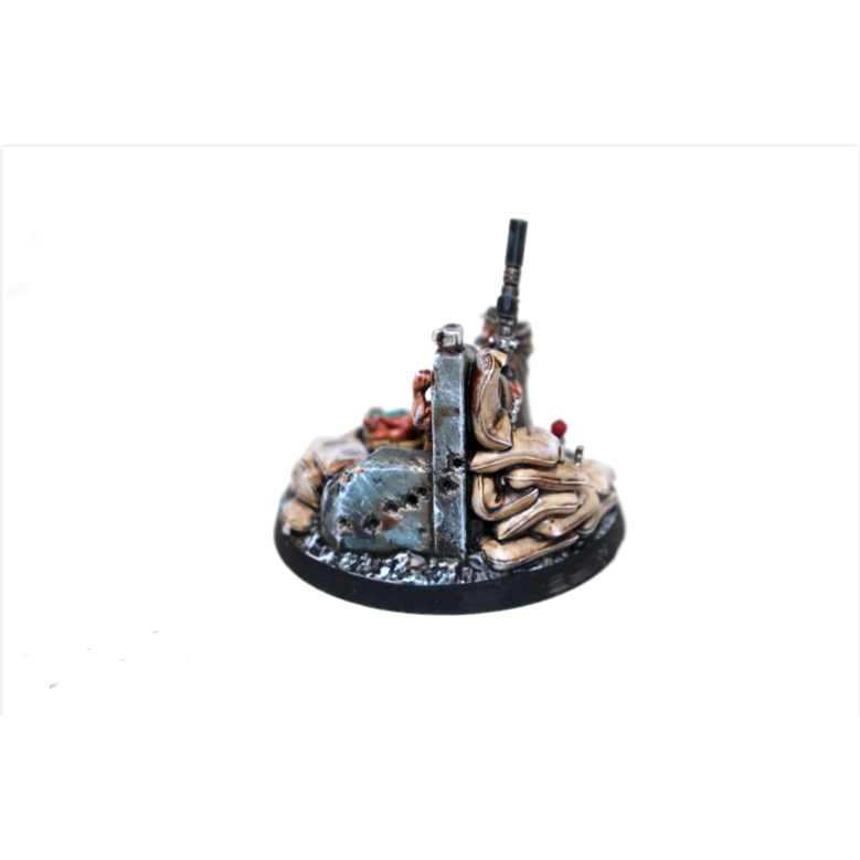 Warhammer Imperial Guard Provisionally Prepared Well Painted SH1