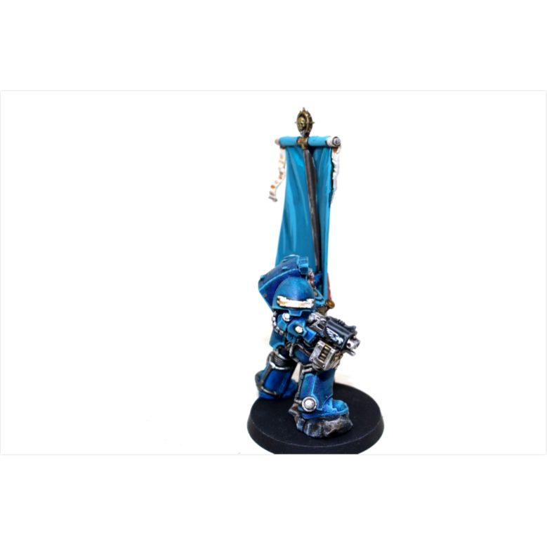Warhammer Space Marines Ancient in Terminator Armour SH1