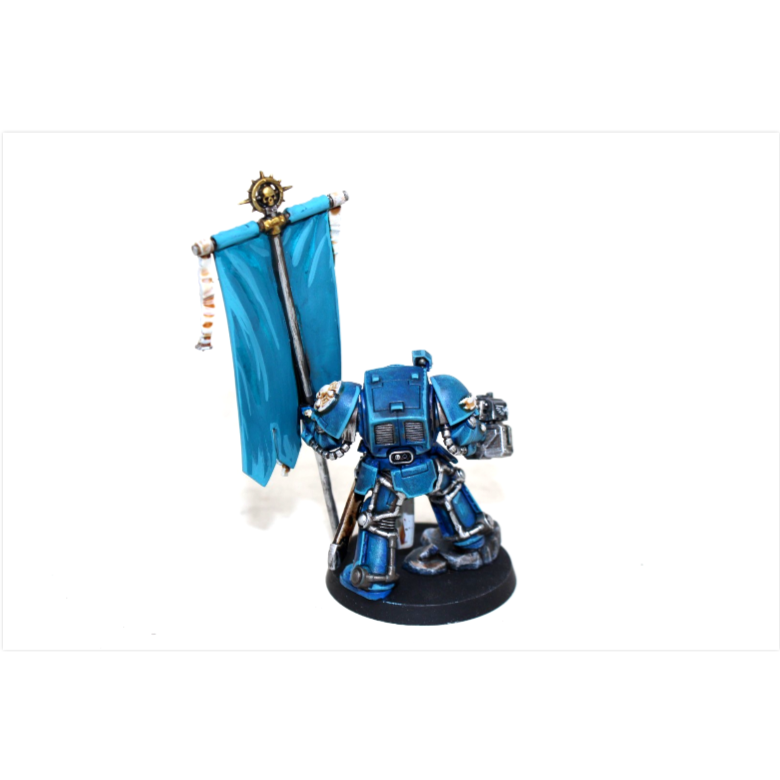 Warhammer Space Marines Ancient in Terminator Armour SH1