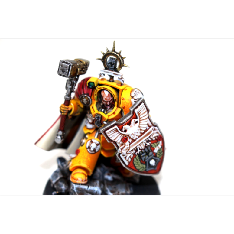 Warhammer Space Marine Imperial Fists Lysander Well Painted SH1