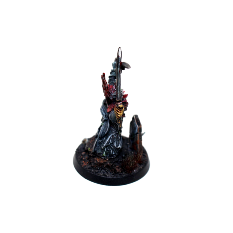 Warhammer Vampire Counts Soulblight Gravelords Vampire Lord Well Painted JYS20