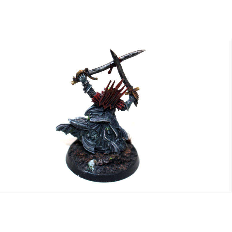 Warhammer Vampire Counts Soulblight Gravelords Vampire Lord Well Painted JYS20