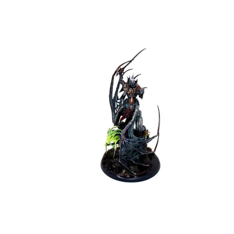 Warhammer Vampire Counts Soulblight Gravelords Vengorian Lord Well Painted JYS21