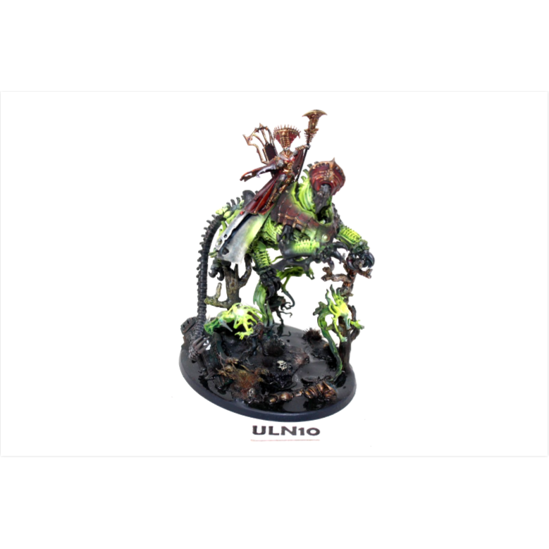 Warhammer Vampire Counts Soulblight Gravelords Neferata, Mortarch of Blood Well Painted ULN10