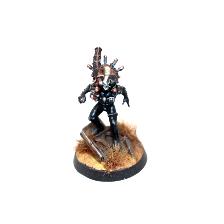 Warhammer Imperial Agents Culexus Assassin Well Painted JYS71