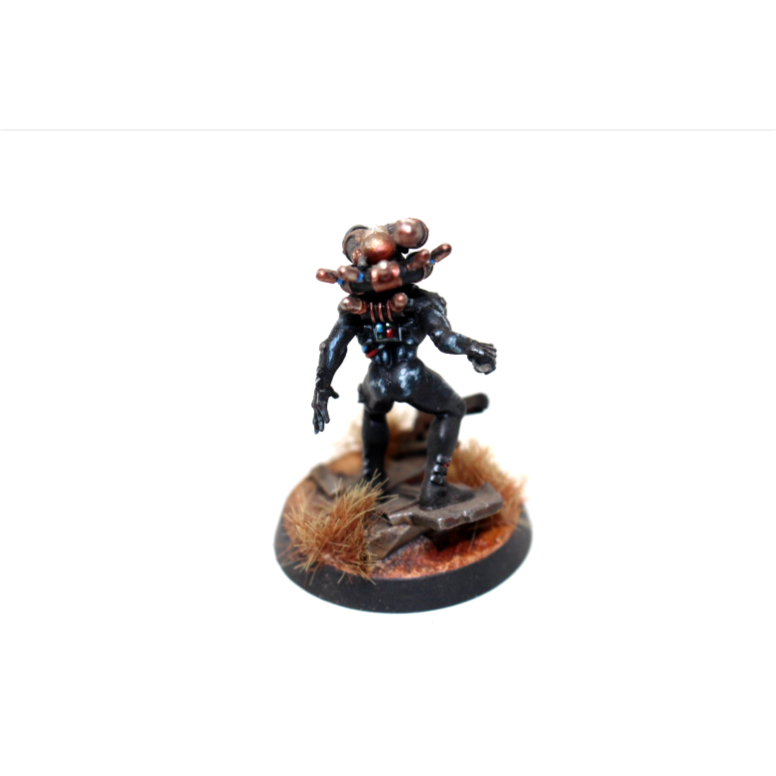 Warhammer Imperial Agents Culexus Assassin Well Painted JYS71
