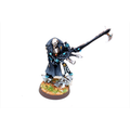 Warhammer Eldar Deathjester Well Painted A5