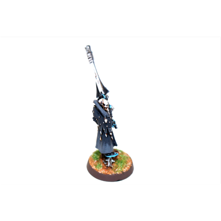 Warhammer Eldar Deathjester Well Painted A5