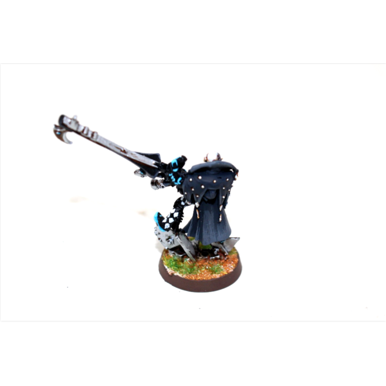 Warhammer Eldar Deathjester Well Painted A5