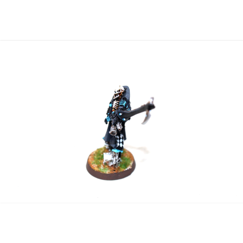 Warhammer Eldar Deathjester Well Painted A5
