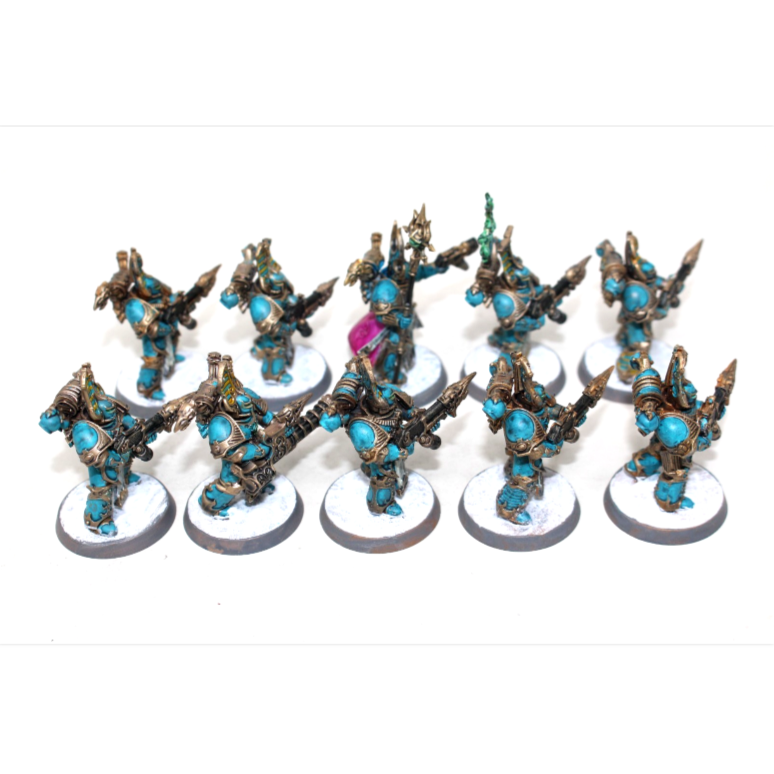 Warhammer Thousand Sons Rubric Marines Well Painted JYS45