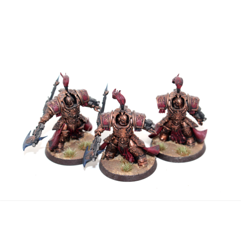 Warhammer Adeptus Custodes Allarus Custodians Well Painted JYS47