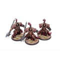 Warhammer Adeptus Custodes Allarus Custodians Well Painted JYS47
