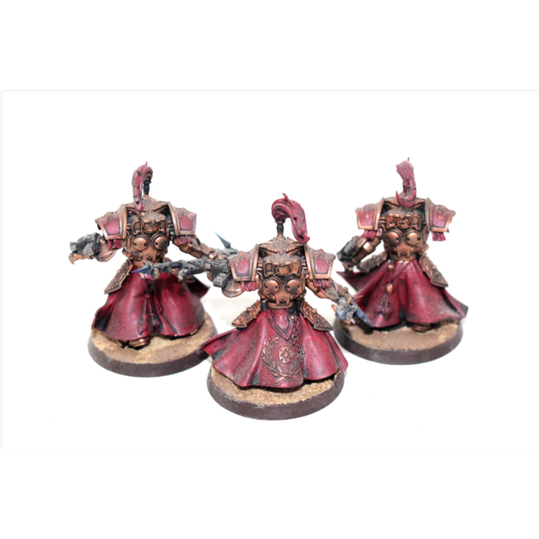 Warhammer Adeptus Custodes Allarus Custodians Well Painted JYS47