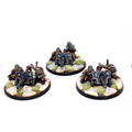 Warhammer Imperial Guard Autocannon Team Metal Well Painted A36