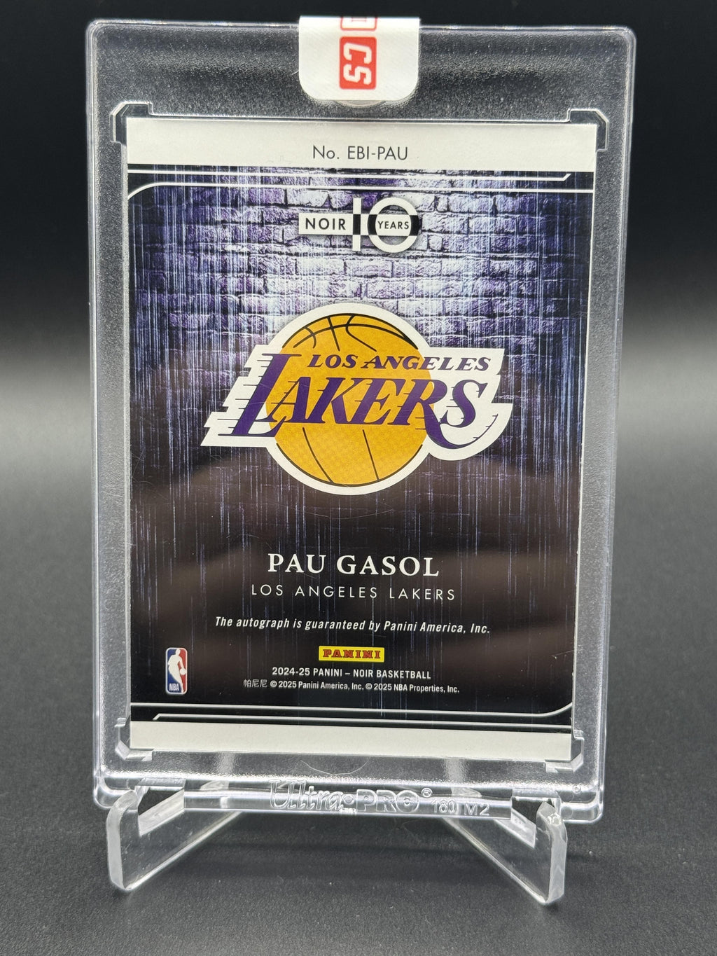 2024-25 Panini #EBI-PAU Noir Pau Gasol Emblazoned Ink Auto /75