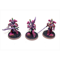 Warhammer Emperors Children Tormentors Well Painted JYS57