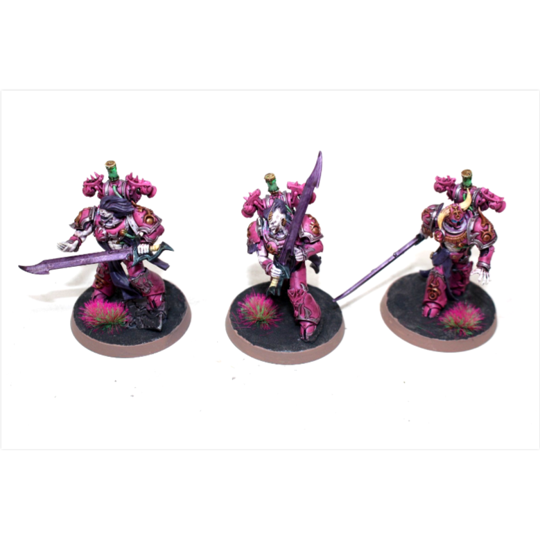 Warhammer Emperors Children Tormentors Well Painted JYS57