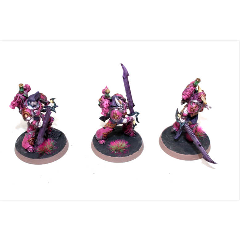 Warhammer Emperors Children Tormentors Well Painted JYS57
