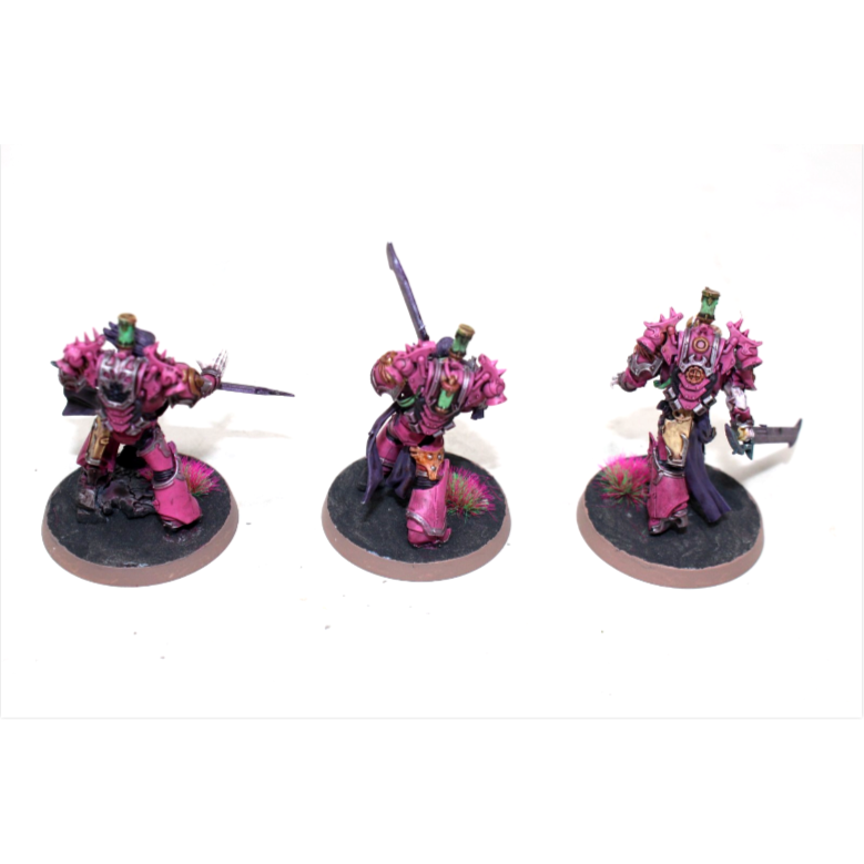 Warhammer Emperors Children Tormentors Well Painted JYS57