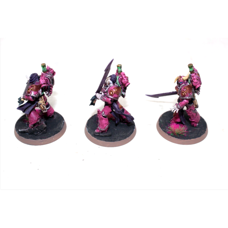 Warhammer Emperors Children Tormentors Well Painted JYS57