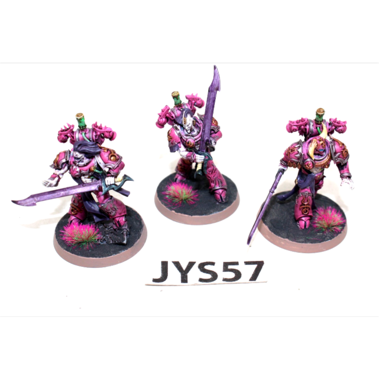 Warhammer Emperors Children Tormentors Well Painted JYS57
