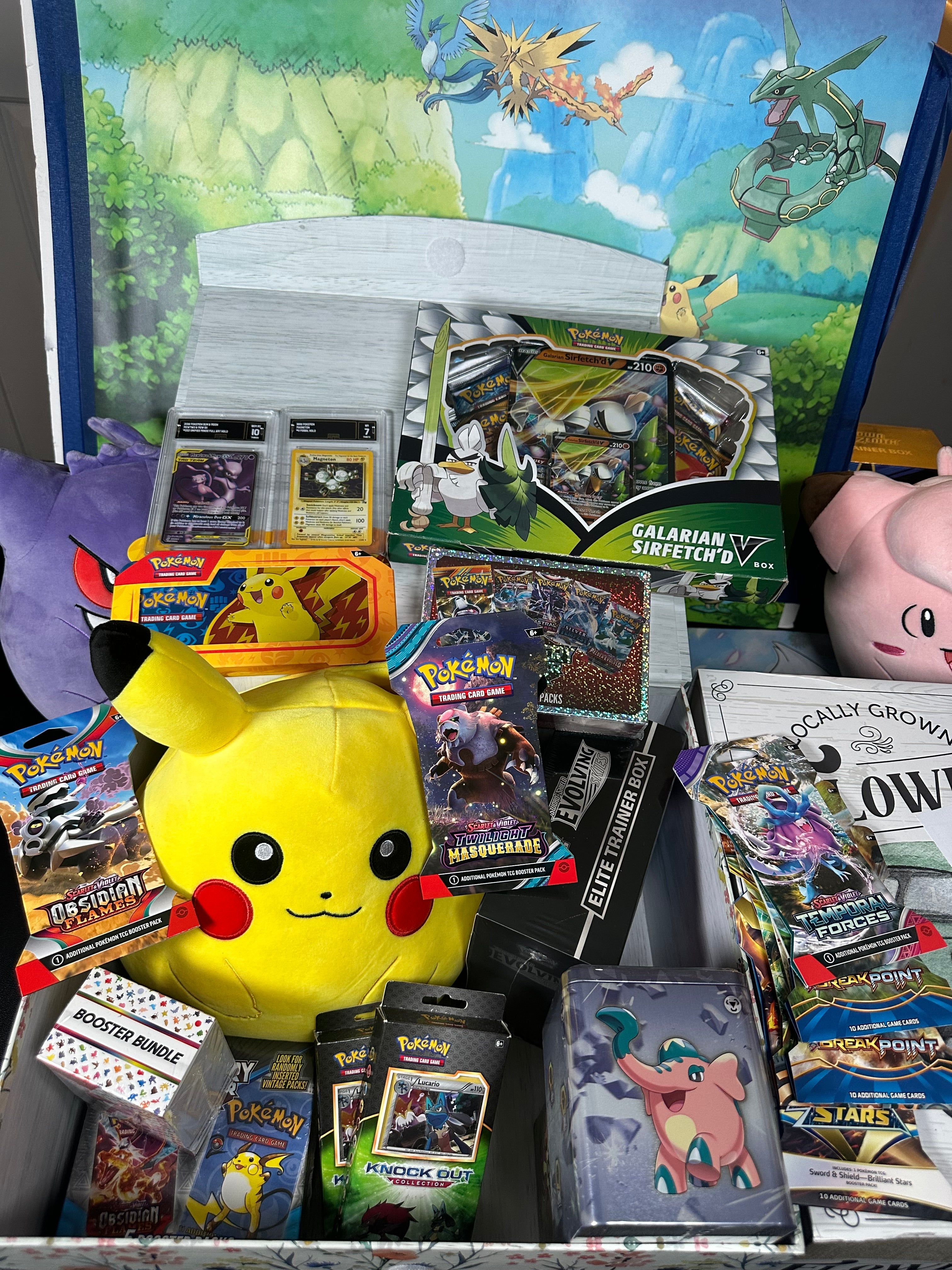 MEGA Plush Mystery Box!