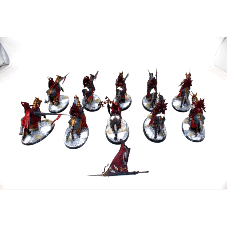 Warhammer Vampire Counts Blood Knights Well Painted JYS40
