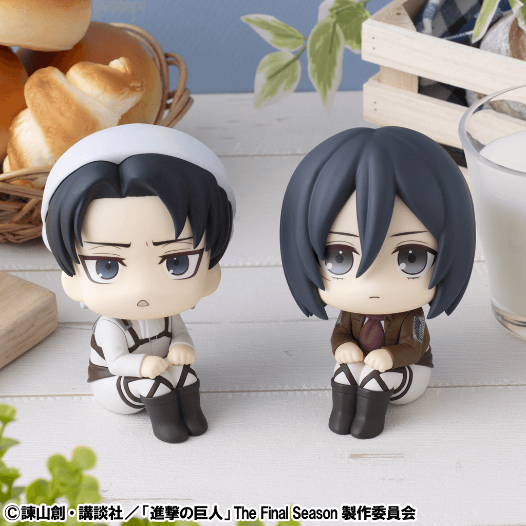 Lookup Attack on Titan Levi Cleaning up Ver. &amp; Mikasa Ackerman set【with gift】