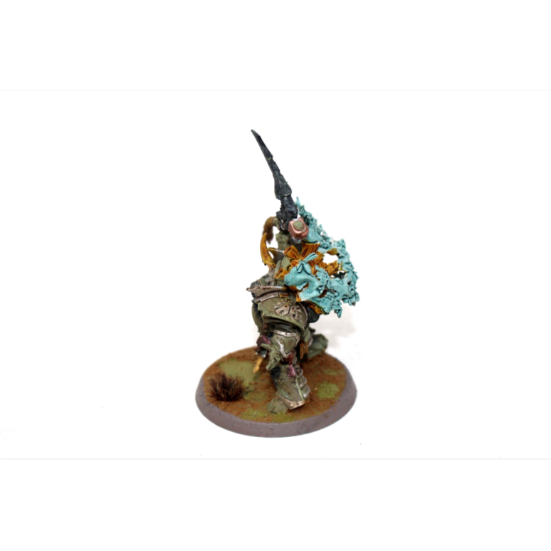 Warhammer Deathguard Typhus Well Painted JYS61